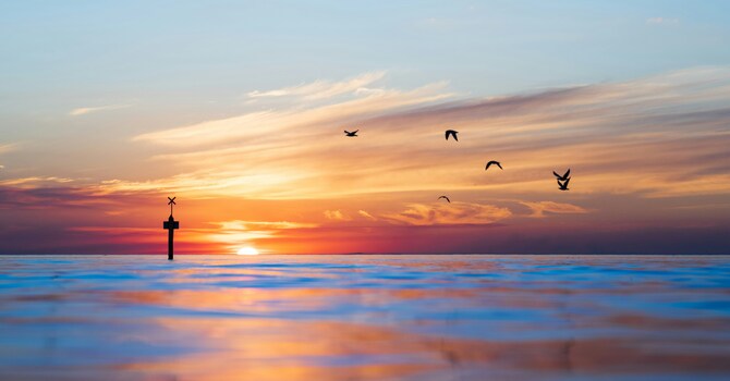 Overcome Fears and Phobias with Hypnotherapy