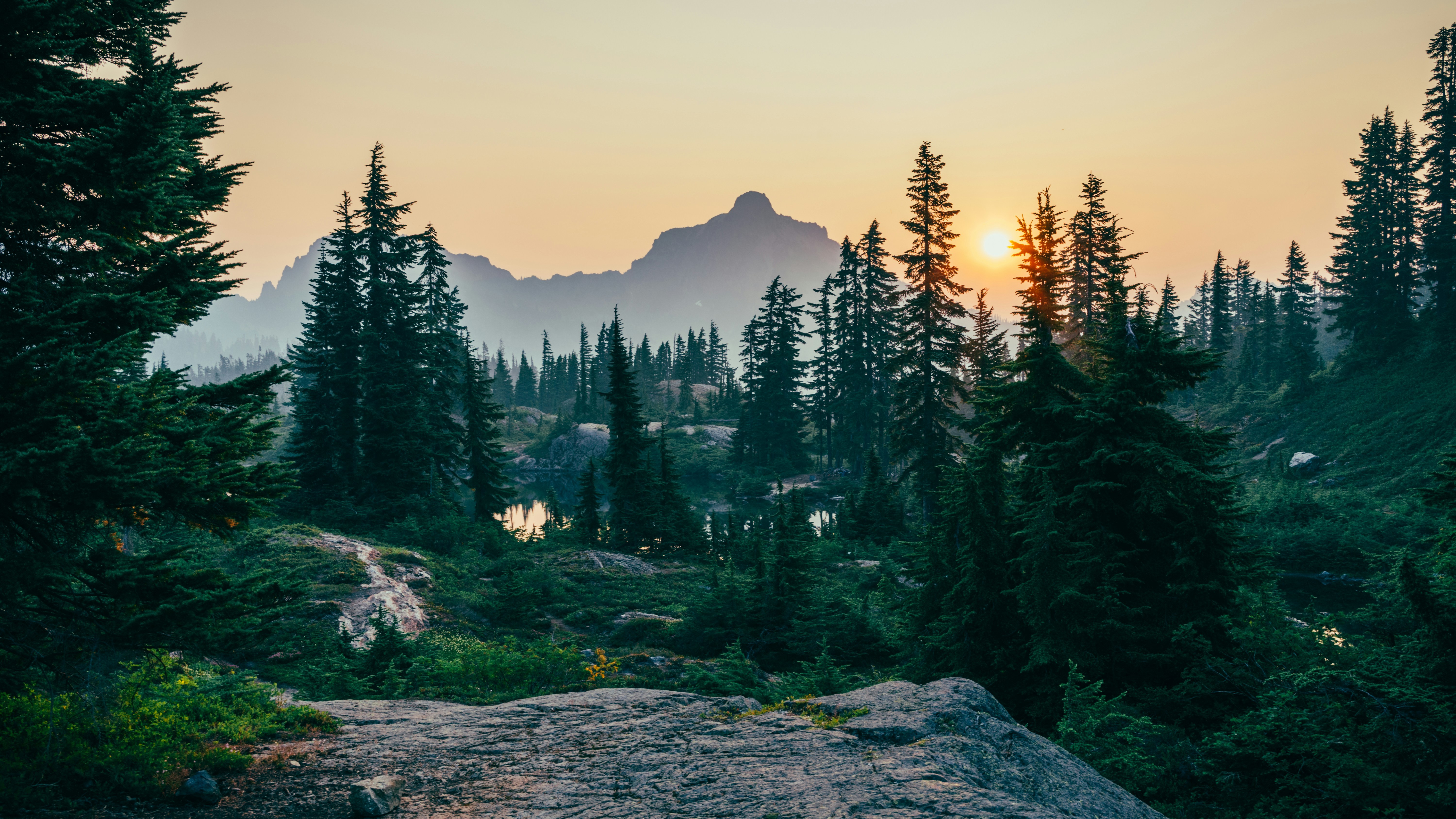Sergei a  helwtuan3c unsplash