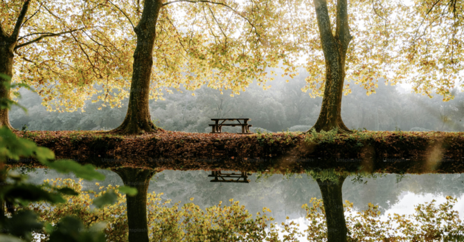 How Hypnotherapy Can Help You Reclaim Your Mind from Digital Overload image