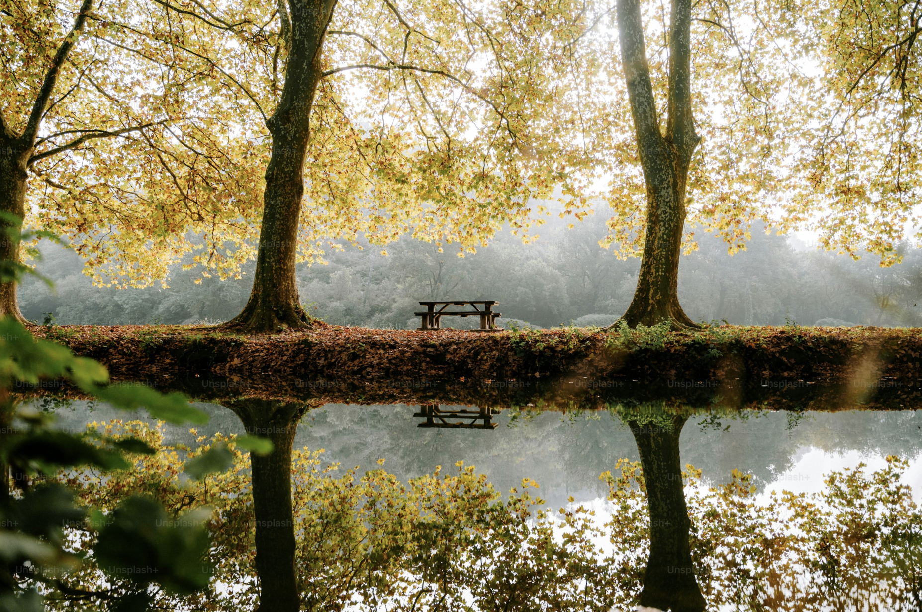 Screenshot%202025 09 22%20at%2010.24.13%e2%80%afam