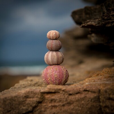 All inclusive hypnosis package to quit smoking