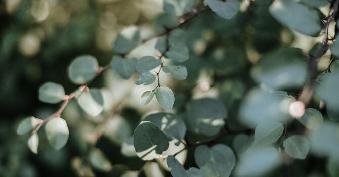 Overcome Fears and Phobias with Hypnotherapy