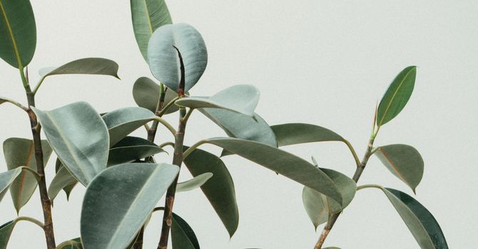 How Hypnotherapy Can Help You Reclaim Your Mind from Digital Overload image